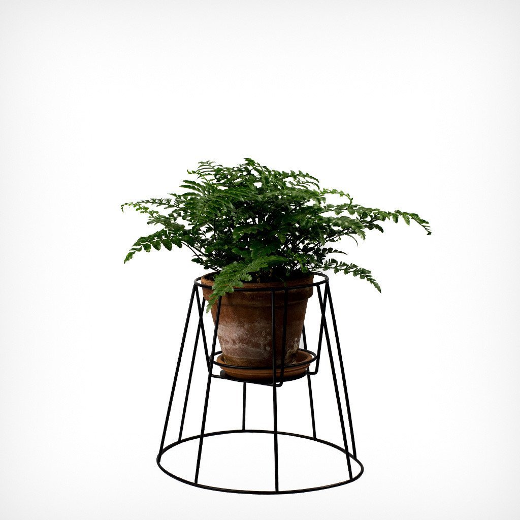 Pflanzenständer „Cibele“ klein OK Design C12 – diesellerie.com