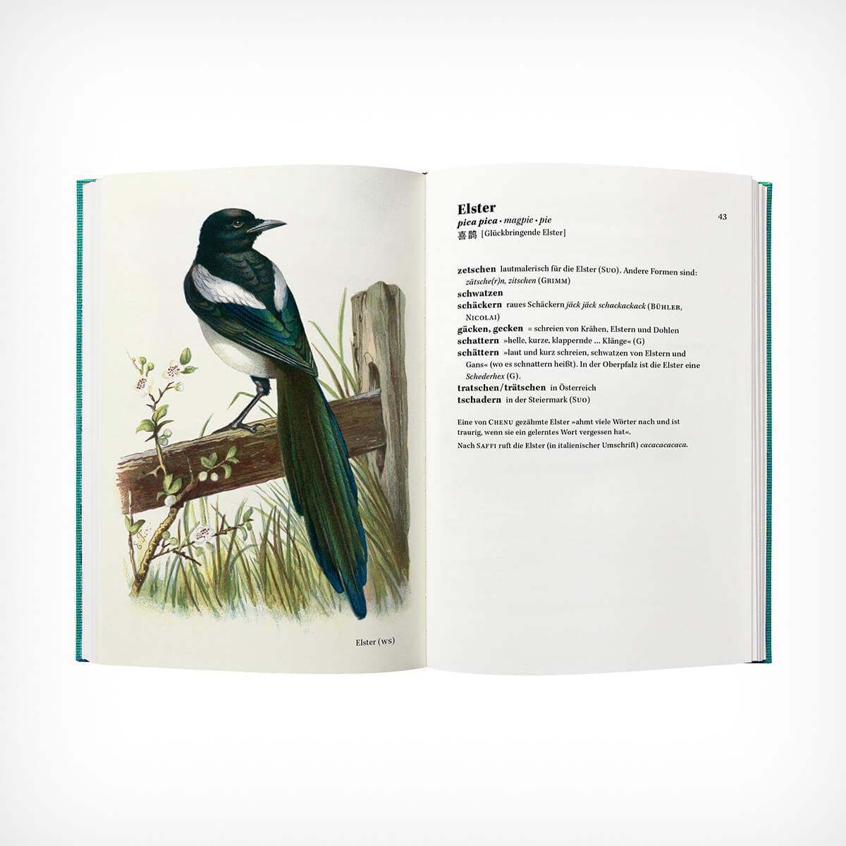 „Singt der Vogel, ruft er oder schlägt er?“ Peter Krauss – diesellerie.com