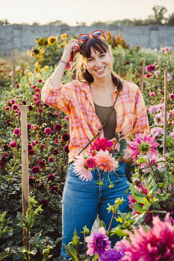 „Blumenbund“ zur Abendstund: Ein Besuch auf den Blumenfeldern von Katharina Reckendorfer